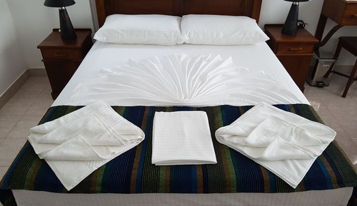 Deluxe Double Room (AC)