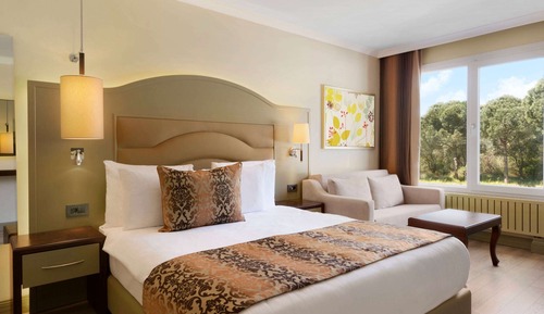 Deluxe Room, 1 Queen Bed