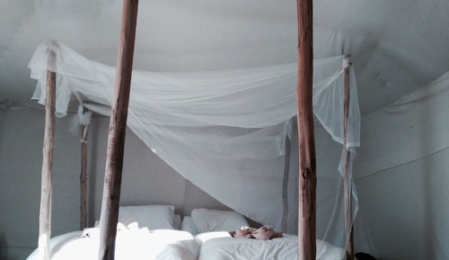Luxury Tent