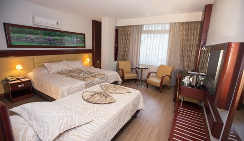 Basic Triple Room