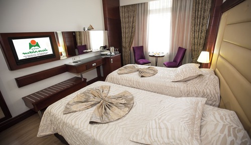 Basic Double or Twin Room