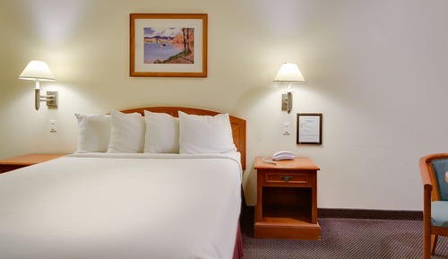 Single Room, 1 King Bed, Accessible, Non Smoking