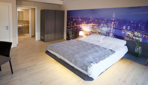 Standard Double Room, 1 King Bed