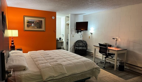 Room, 1 King Bed, Non Smoking