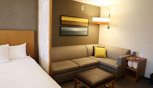 Suite, 1 King Bed with Sofa bed, Accessible (With Shower)