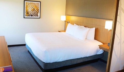 Room, 1 King Bed with Sofa bed, Accessible, Bathtub (With Tub)