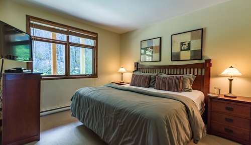 Condo, 1 Bedroom, Fireplace (172-2)