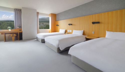 Premium Room, Multiple Beds