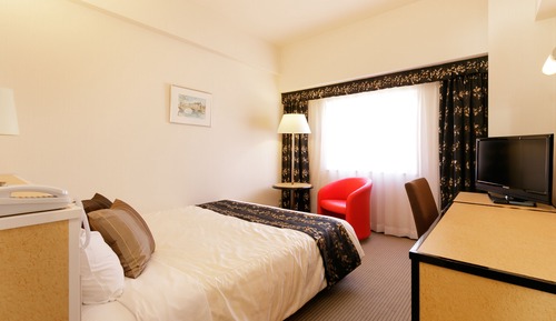 Deluxe Single Room, Smoking