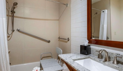 Suite, 1 King Bed with Sofa bed, Accessible, Non Smoking