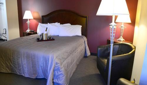 Single Room - Disability Access