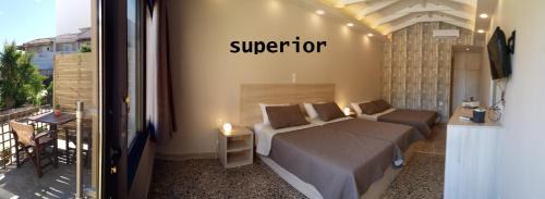 Superior Double or Twin Room with Terrace