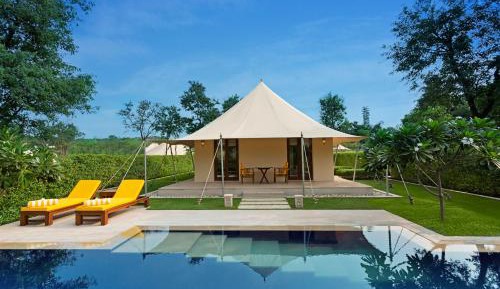 Royal Forest Tent with Private Pool