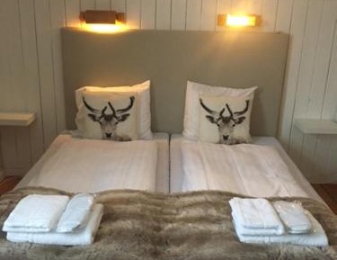 Double or Twin Room