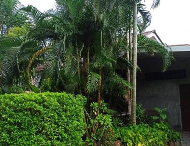 Standard Villa