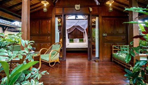 Wooden Suite Room