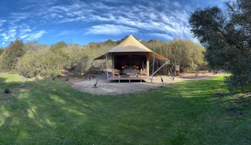 Tent