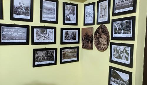 Bed in 4-Bed Mixed Dormitory Room