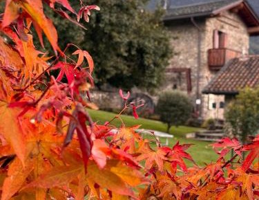 House with Garden View