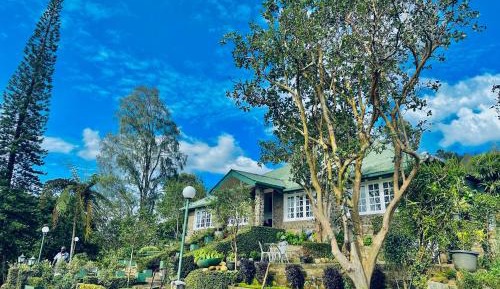 Superior Bungalow