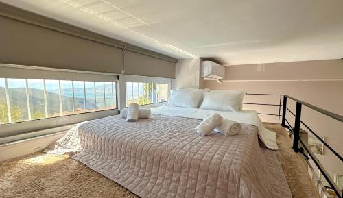 One-bedroom Loft Apartment 