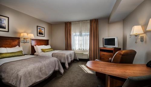Studio Suite with Two Double Beds