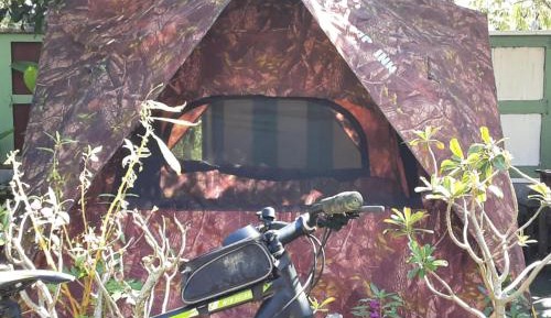 Tent
