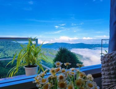 Junior Suite with Terrace