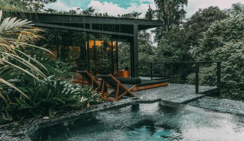 Grand Master Forest View