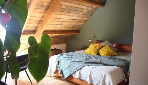 King Room with Garden View