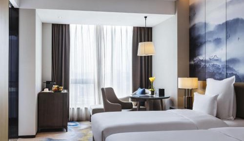 Superior Executive Twin Room with Lounge Access