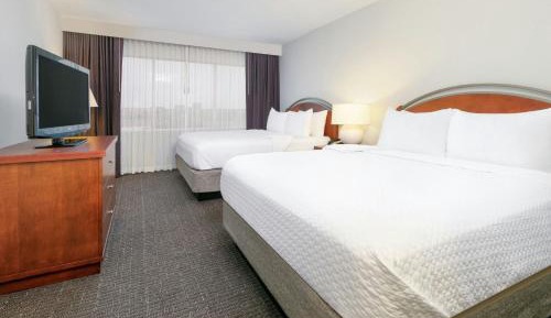 Premium Studio with Two Queen Beds