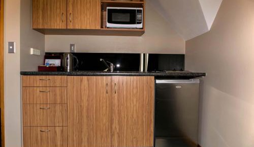 Deluxe One-Bedroom Apartment