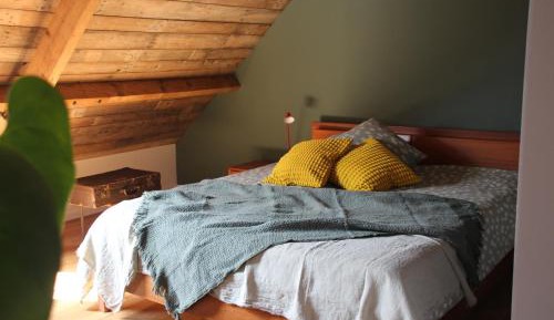 King Room with Garden View