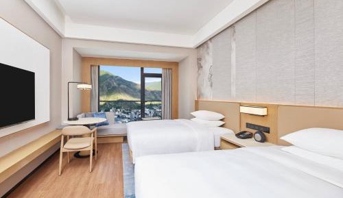 Deluxe Panorama Double Room with Two Double Beds and City View