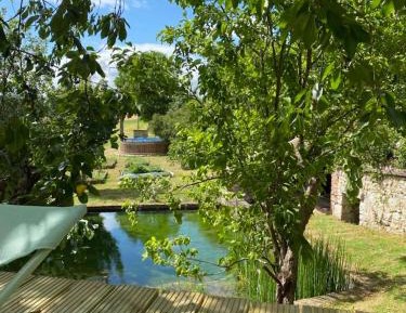 Family Suite with Balcony