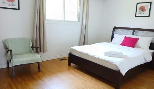 Standard Suite