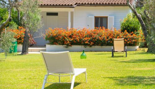 Deluxe Bungalow with Garden View