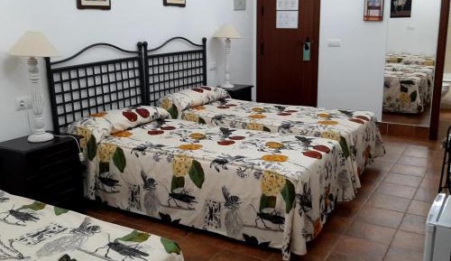 Family Room (2 Adults + 2 Children)