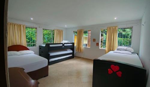 Single Bed in Female Dormitory Room