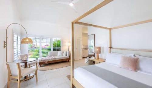 	1 King Bed Jr Suite Orchid King Oceanfront