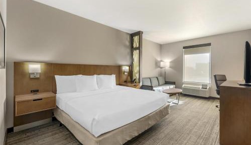 King Room with Mobility Accessible Roll-In Shower