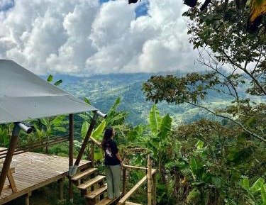 Single Bed in Shared Glamping