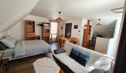 King Studio with Sofa Bed