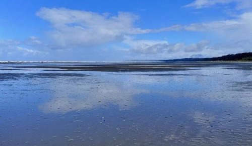 Studio with Ocean View