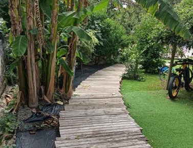 Three-Bedroom Superior Apartment