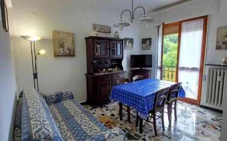 One-Bedroom Apartment with Balcony and Mountain View  