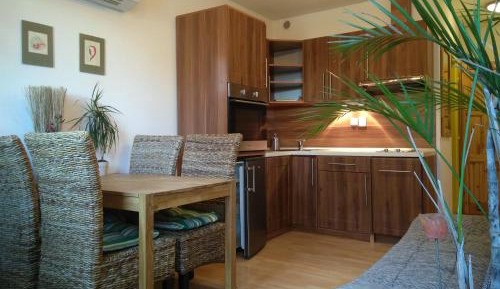 Duplex Apartment