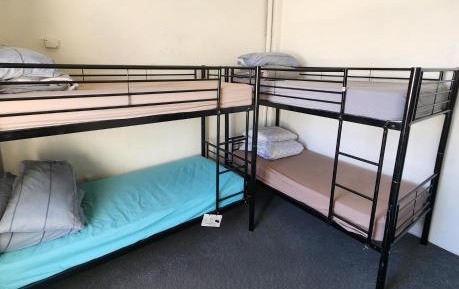 Bed in 4-Bed Mixed Dormitory Room