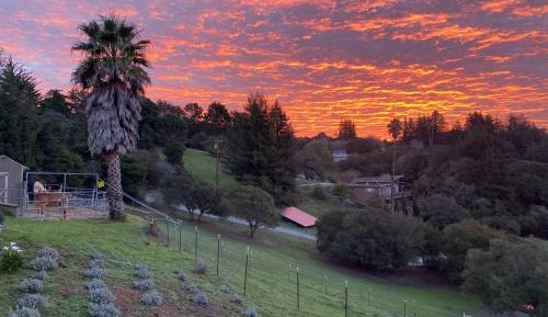 Two-Bedroom Apartment with View